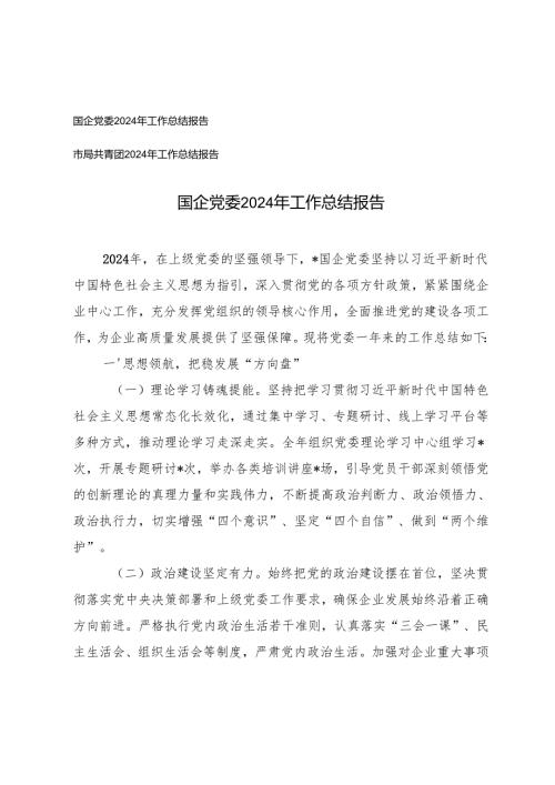 市局共青团、国企党委2024年工作总结报告.docx