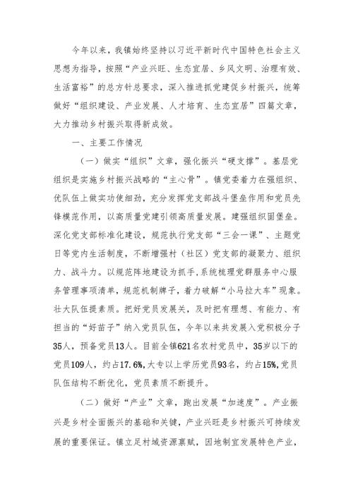乡镇2024年度推动乡村振兴工作总结.docx