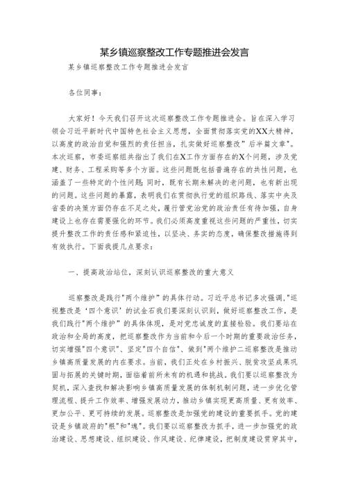 某乡镇巡察整改工作专题推进会发言.docx
