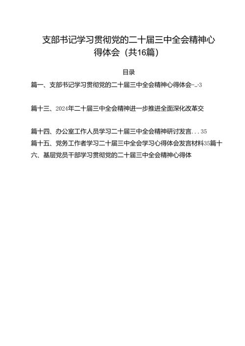 （16篇）支部书记学习贯彻党的二十届三中全会精神心得体会范文.docx