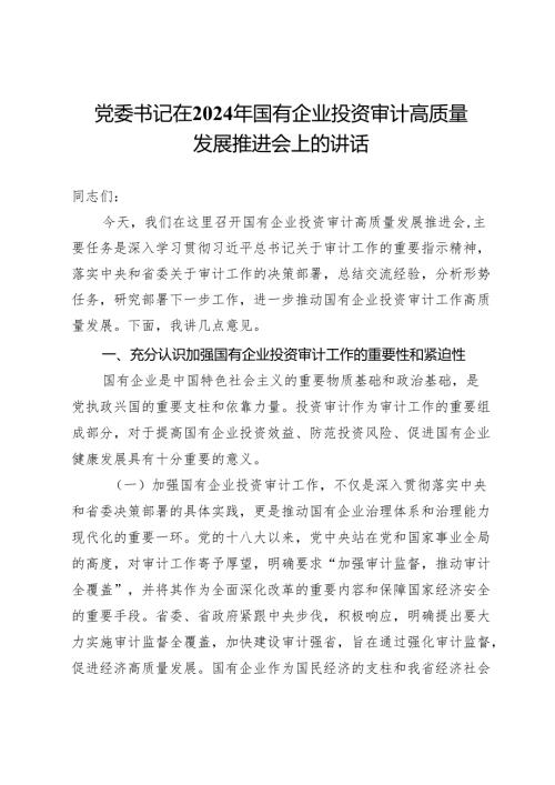党委书记在2024年国有企业投资审计高质量发展推进会上的讲话.docx