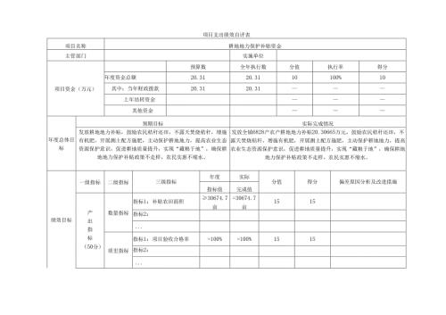耕地地力保护补贴资金项目支出绩效自评表.docx