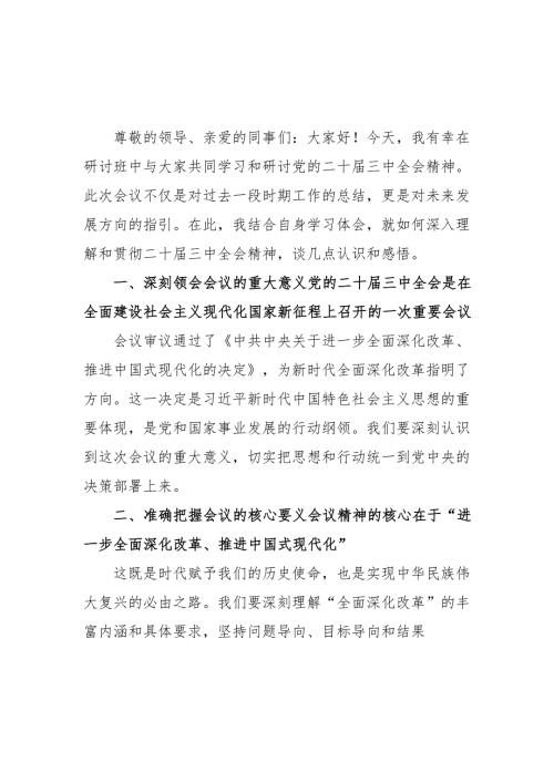 2024年开展《学习二十届三中全会精神》专题研讨班发言稿（5份）_53.docx