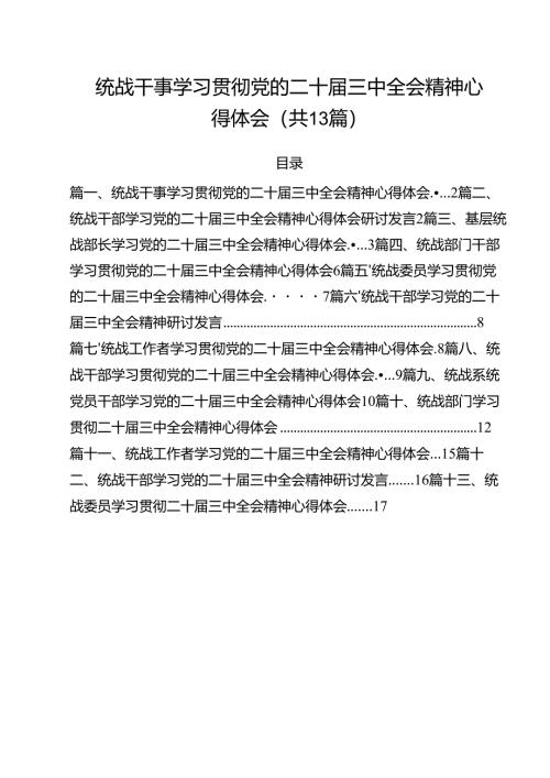 （13篇）统战干事学习贯彻党的二十届三中全会精神心得体会（最新版）.docx
