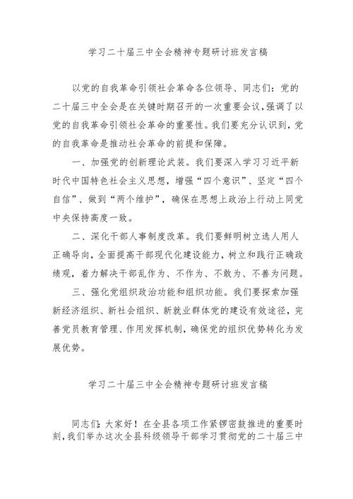 2024年开展学习二十届三中全会精神专题研讨班发言稿.docx