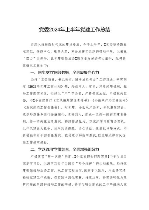 党委2024年上半年党建工作总结.docx