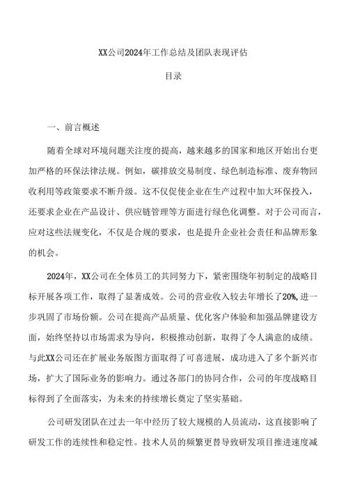 XX公司2024年工作总结及团队表现评估.docx