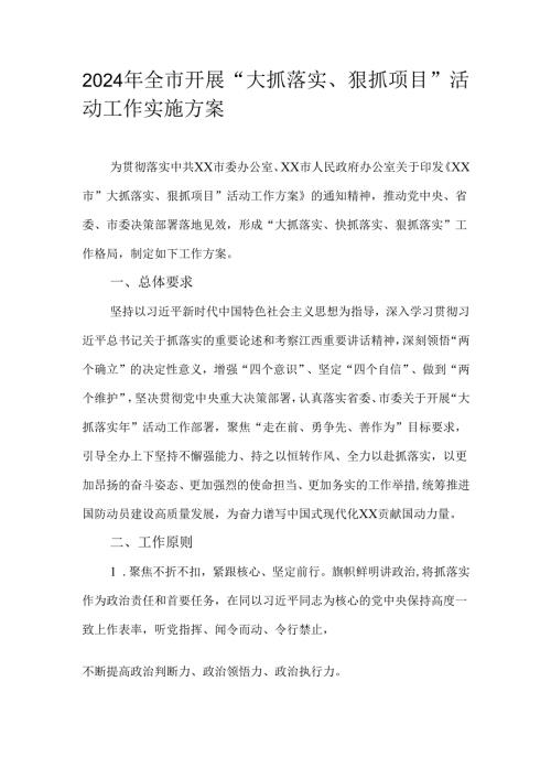 2024年全市开展“大抓落实、狠抓项目”活动工作实施方案.docx