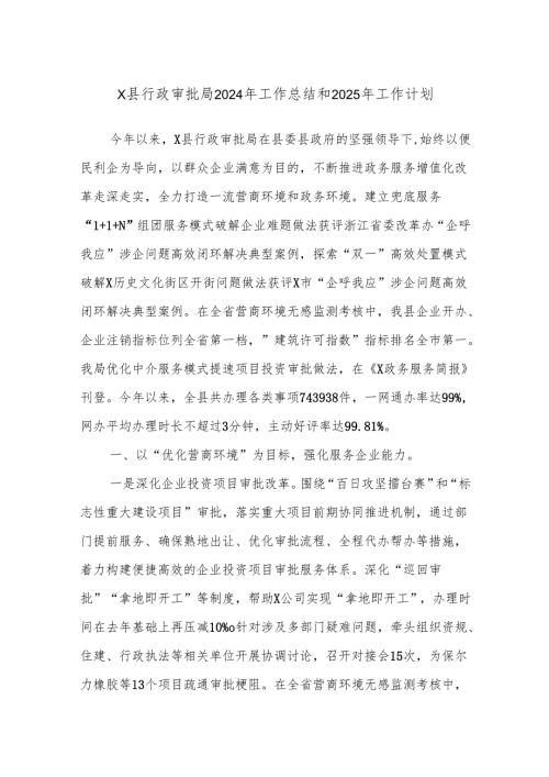 X县行政审批局2024年工作总结和2025年工作计划.docx