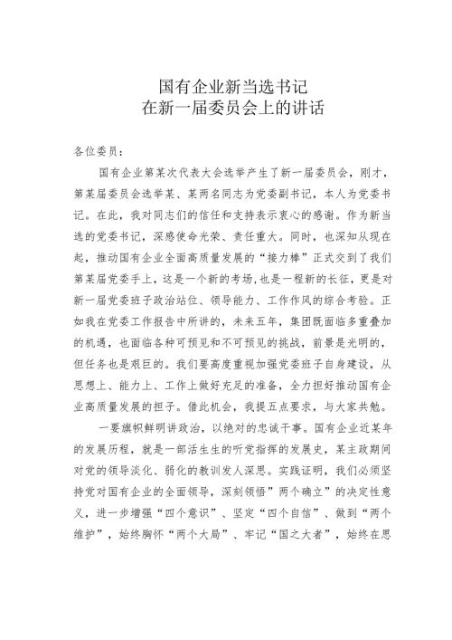 国有企业新当选书记在新一届委员会上的讲话.docx