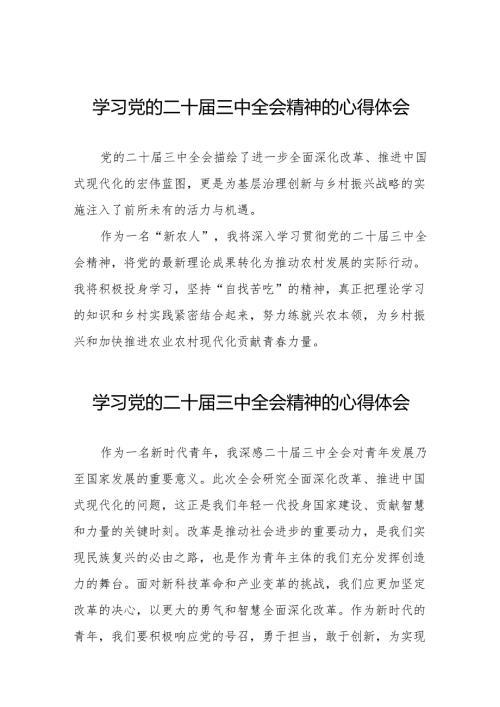 学习党的二十届三中全会精神的心得体会模板32篇.docx
