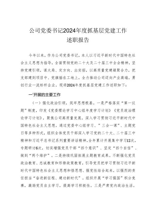 公司党委书记2024年度抓基层党建工作述职报告.docx