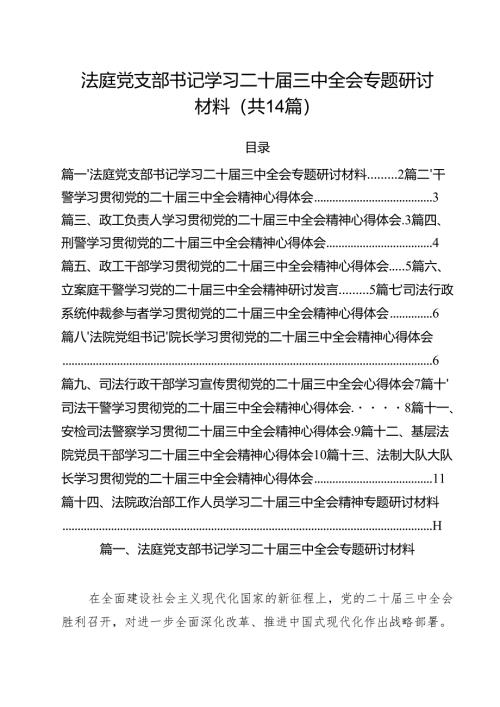 法庭党支部书记学习二十届三中全会专题研讨材料14篇（精选）.docx