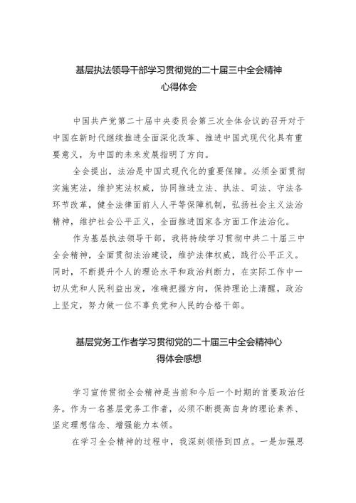 基层执法领导干部学习贯彻党的二十届三中全会精神心得体会（共四篇）.docx