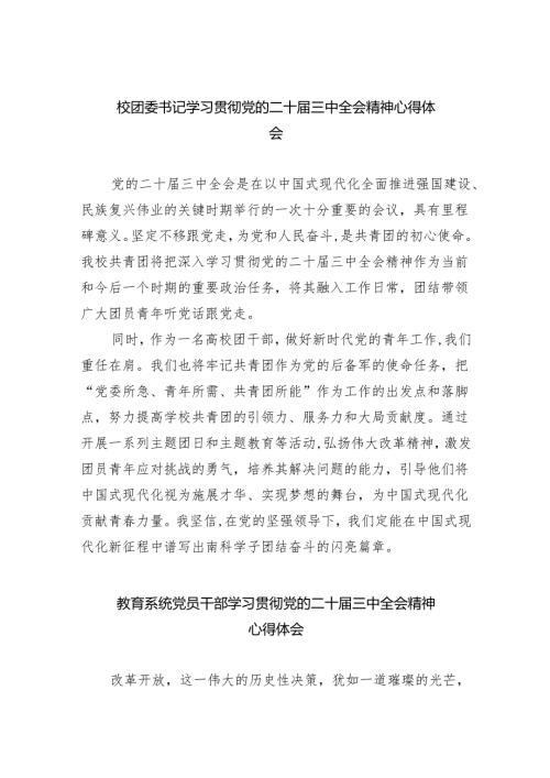 校团委书记学习贯彻党的二十届三中全会精神心得体会8篇（精选版）.docx