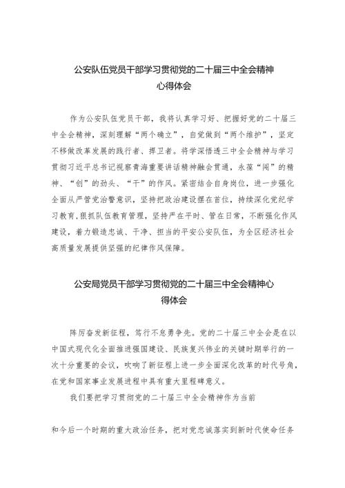 公安队伍党员干部学习贯彻党的二十届三中全会精神心得体会8篇（详细版）.docx
