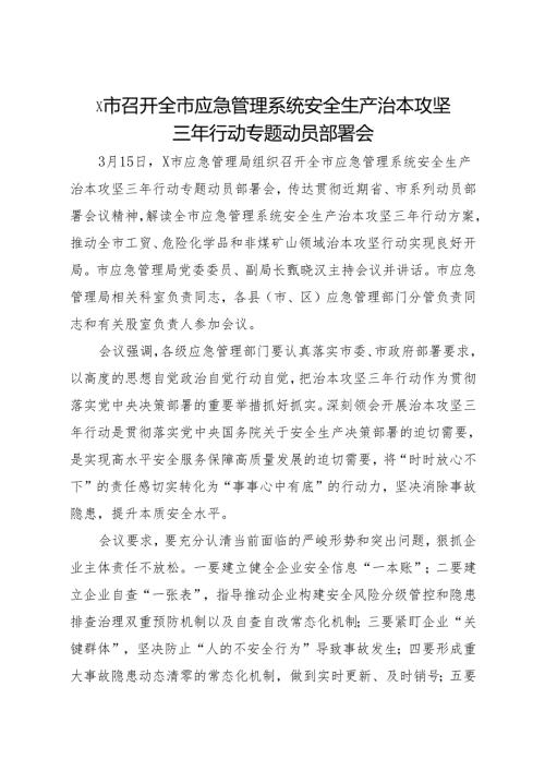2024.3X市召开全市应急管理系统安全生产治本攻坚三年行动专题动员部署会.docx