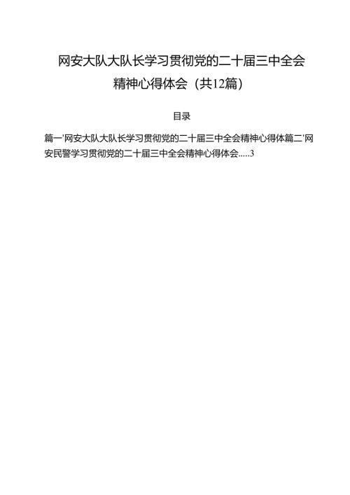 网安大队大队长学习贯彻党的二十届三中全会精神心得体会（共12篇）.docx