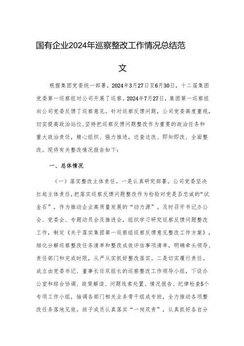 国有企业2024年巡察整改工作情况总结范文.docx