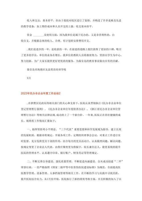 2023年民办非企业年度工作总结.docx