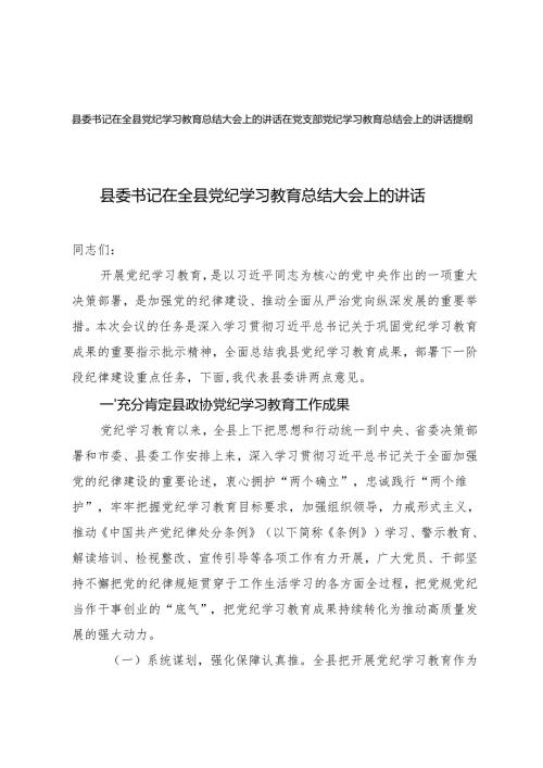 2024年在党支部党纪学习教育总结会上的讲话提纲.docx