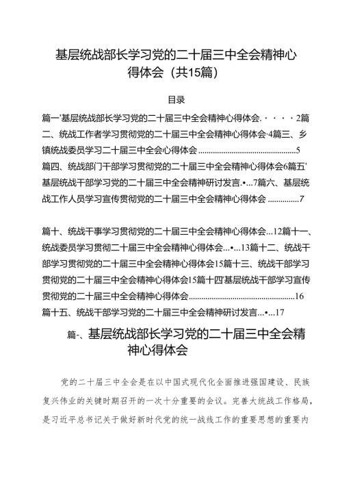 （15篇）基层统战部长学习党的二十届三中全会精神心得体会（详细版）.docx