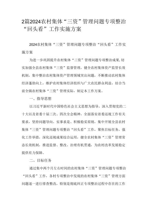 2篇2024农村集体“三资”管理问题专项整治“回头看”工作实施方案.docx