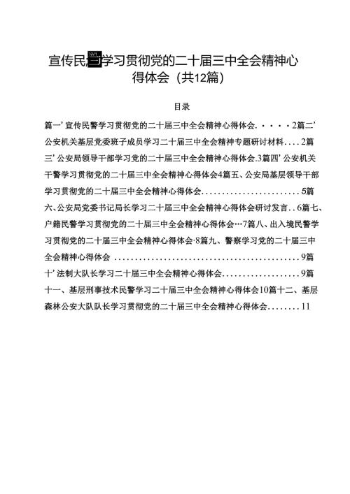 宣传民警学习贯彻党的二十届三中全会精神心得体会12篇（详细版）.docx