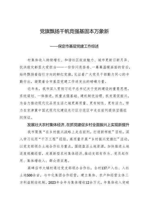 年度专项工作总结∣基层党建：20240628党旗飘扬千帆竞 强基固本万象新——保定市基层党建工作综述.docx