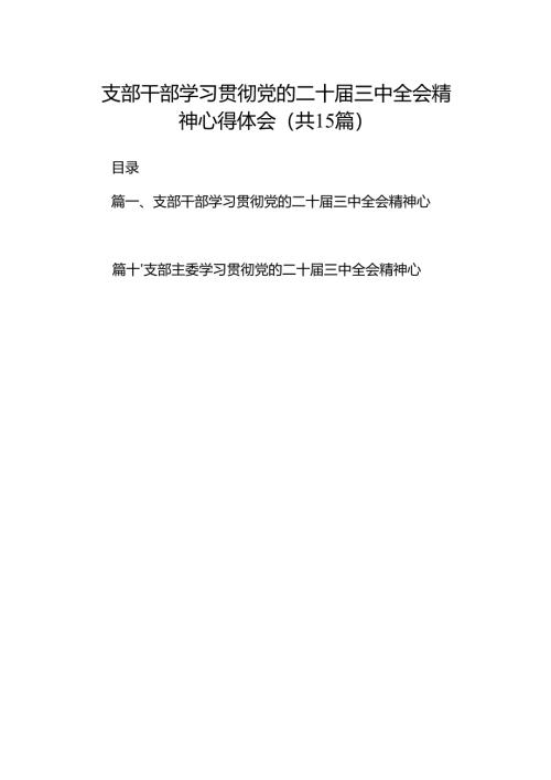 （15篇）支部干部学习贯彻党的二十届三中全会精神心得体会（最新版）.docx