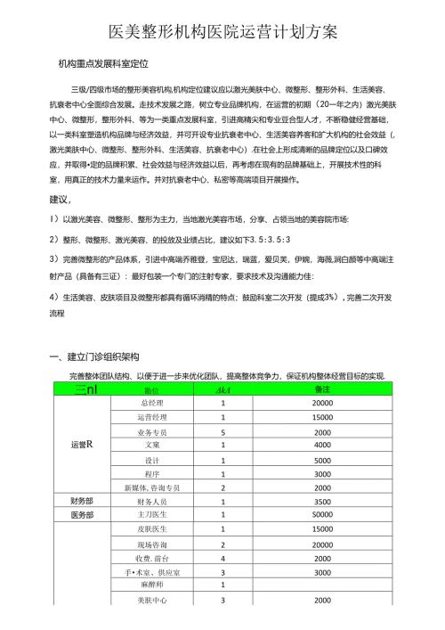 医美整形机构医院运营计划方案.docx