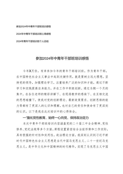 参加2024-2025年年中青年干部班培训心得体会感悟总结.docx