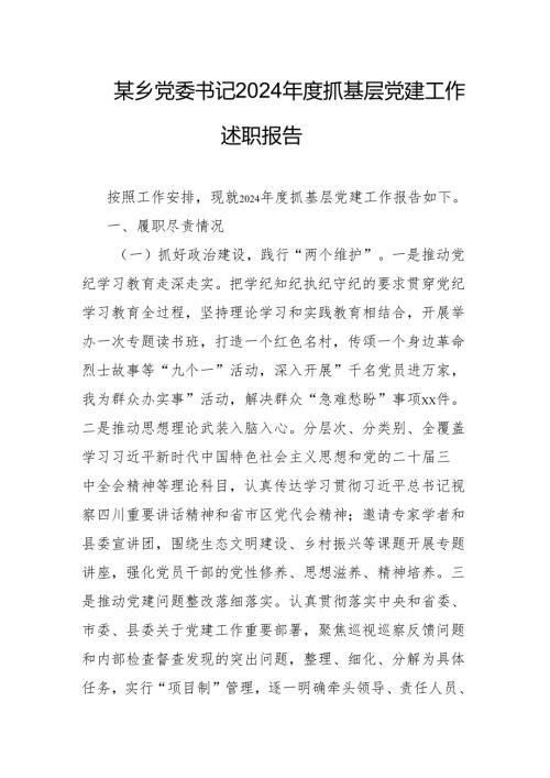 某乡党委书记2024年度抓基层党建工作述职报告.docx