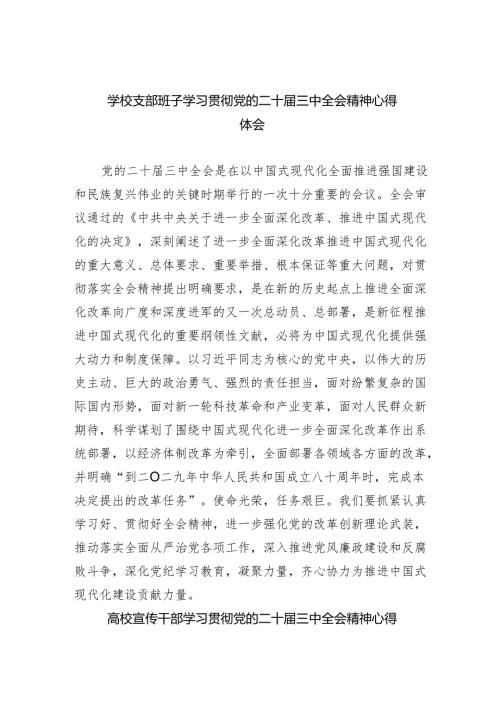 学校支部班子学习贯彻党的二十届三中全会精神心得体会5篇（详细版）.docx