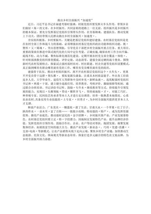 跑出乡村全面振兴“加速度”.docx