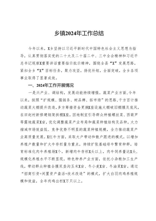 乡镇2024年工作总结.docx