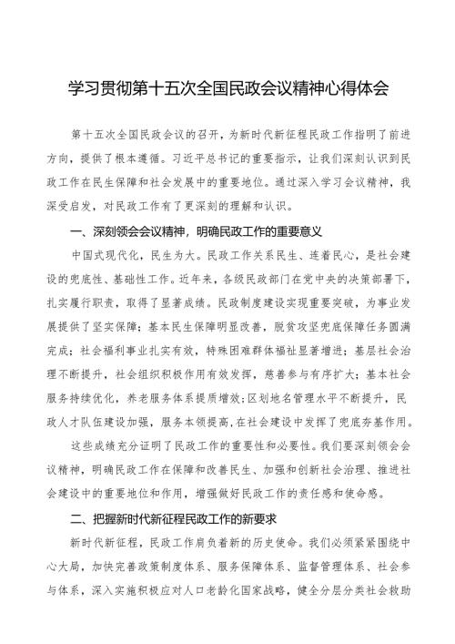 2024年全国民政会议精神心得体会.docx