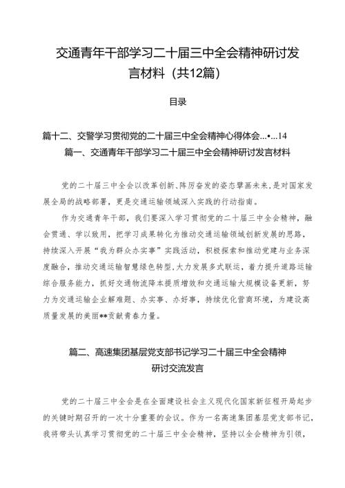 交通青年干部学习二十届三中全会精神研讨发言材料（共12篇）.docx