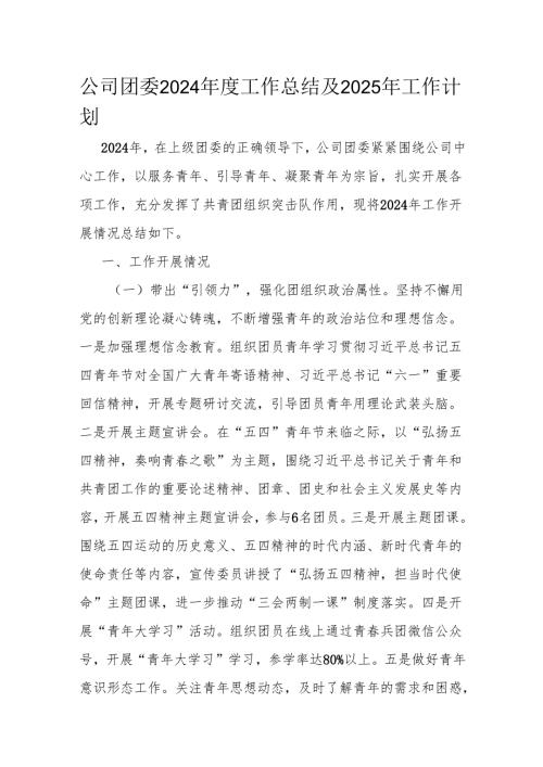 公司团委2024年度工作总结及2025年工作计划.docx
