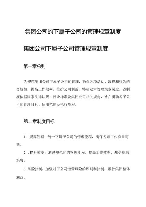 集团公司的下属子公司的管理规章制度.docx