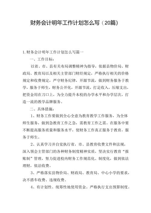 财务会计明年工作计划怎么写(20篇).docx