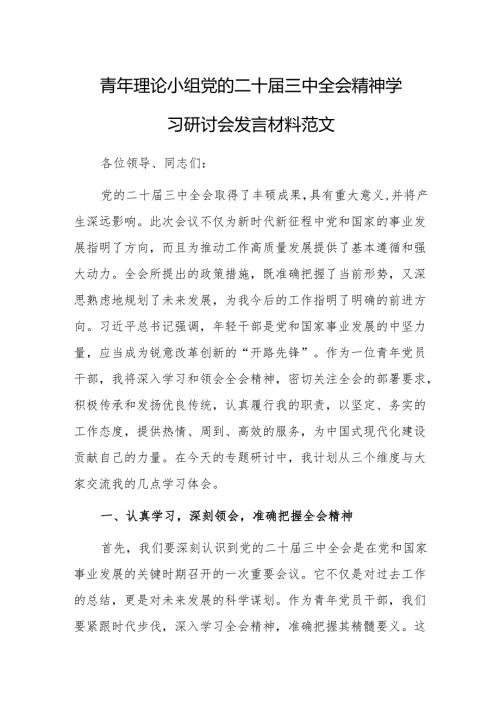 青年理论小组党的二十届三中全会精神学习研讨会发言材料范文.docx