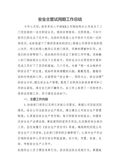 安全主管试用期工作总结.docx