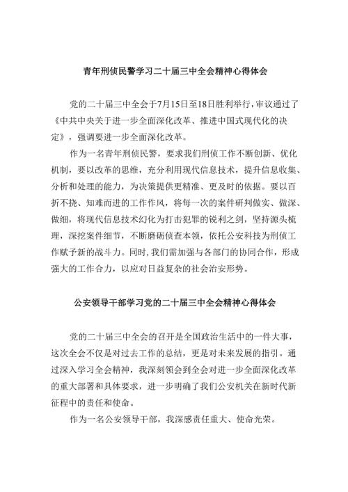 （11篇）青年刑侦民警学习二十届三中全会精神心得体会集合.docx