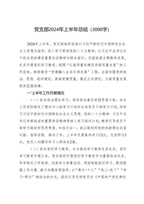 年度专项工作总结∣半年总结：党支部2024年上半年总结（3000字）.docx