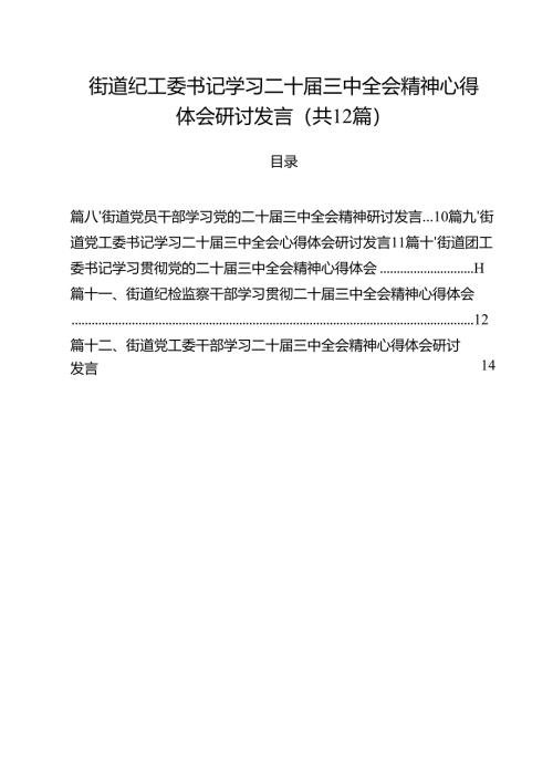 街道纪工委书记学习二十届三中全会精神心得体会研讨发言12篇（详细版）.docx