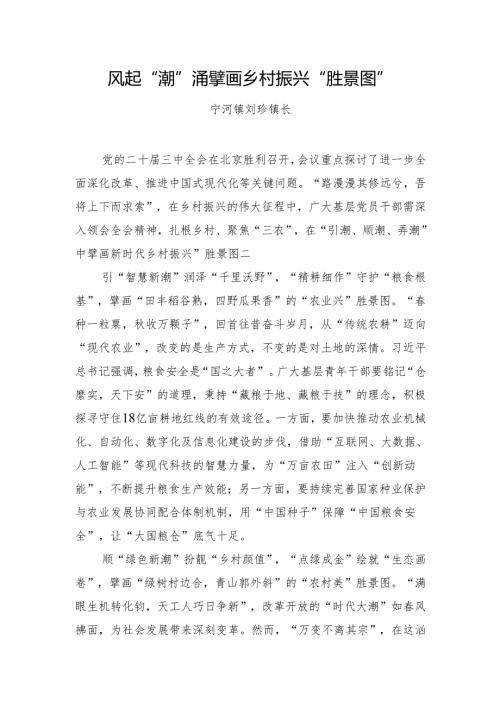 关于二十届三中全会精神发言材料（镇长）.docx