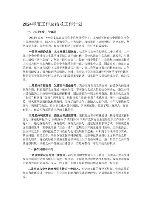 2024年度工作总结及工作计划.docx