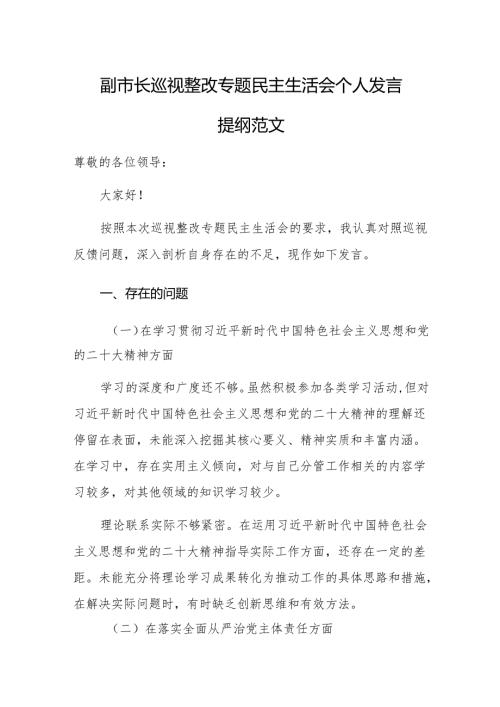 副职领导2024年巡视整改专题民主生活会个人发言提纲范文.docx
