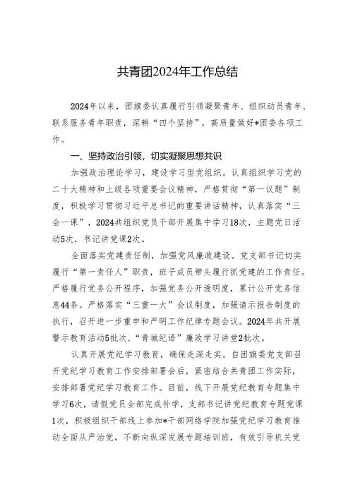 共青团2024年度工作总结.docx